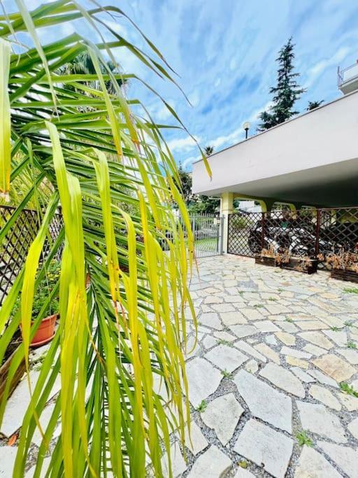 Suite Dei Fiori - Luxury Open Space Σαν Ρέμο Εξωτερικό φωτογραφία